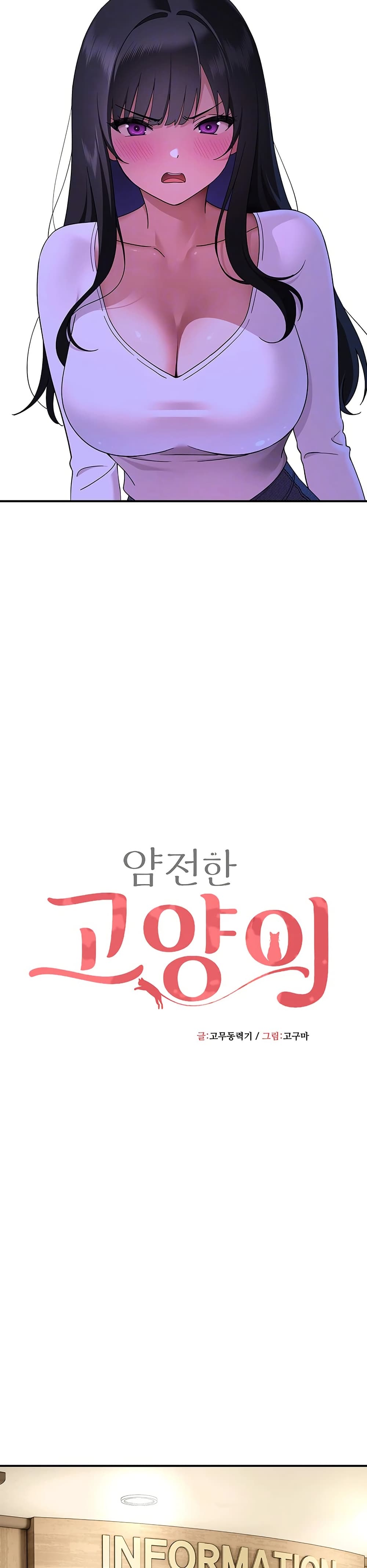 A Quiet Cat - หน้า 9