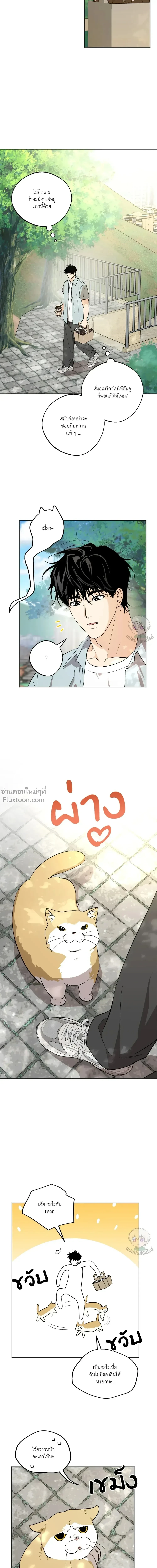 The Rite of Prayer - เดอะ ไรท์ ออฟ พรีเยอร์ - หน้า 6