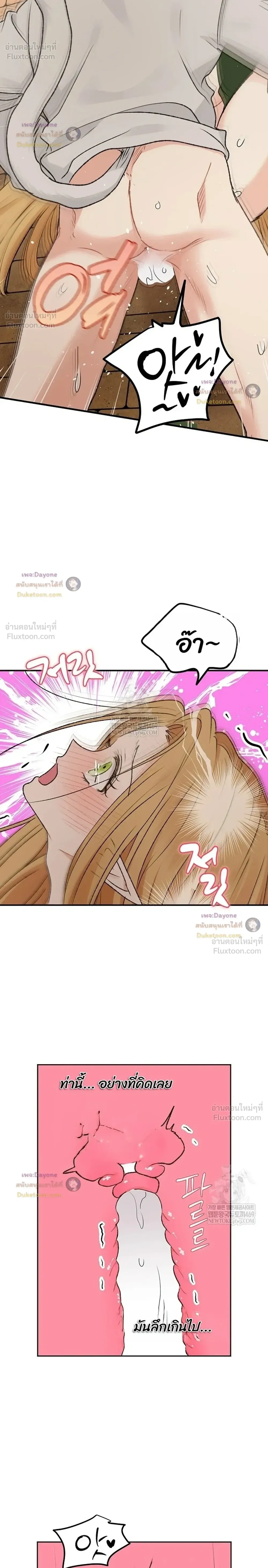 จับคู่รัก ฝ่าคำสาปร้าย The Mating of Elves - หน้า 24