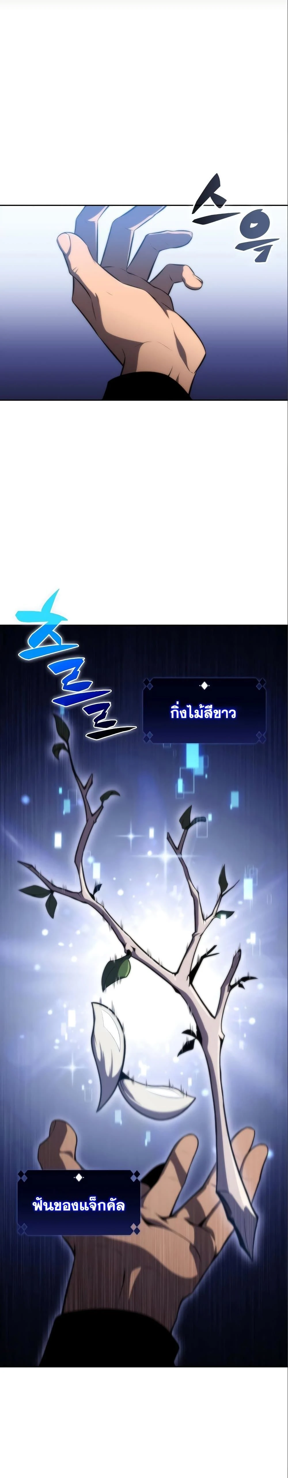 Solo Max-Level Newbie - ผู้เล่นหน้าใหม่เลเวลแมกซ์ - หน้า 36