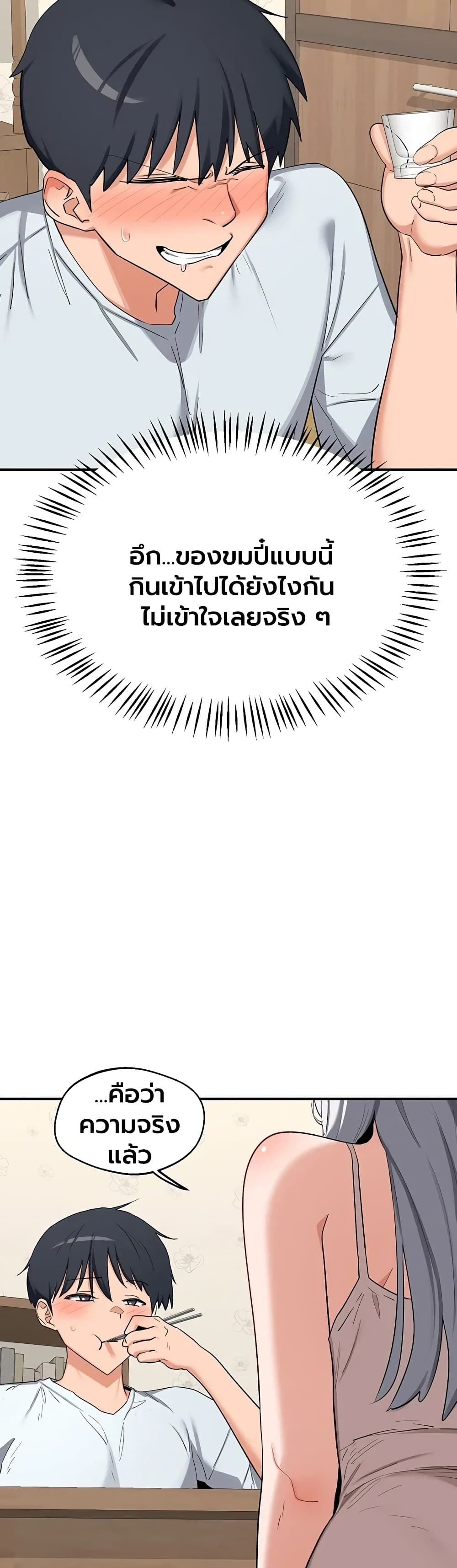 MILF Exchange Plan - หน้า 31
