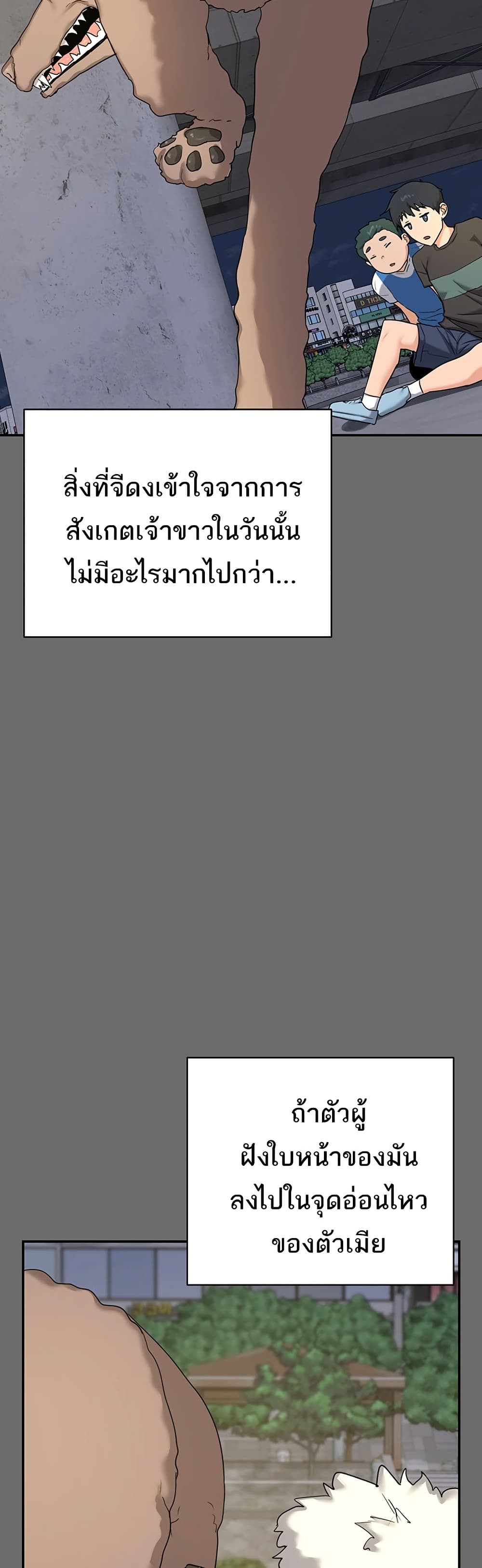 MILF Exchange Plan - หน้า 34
