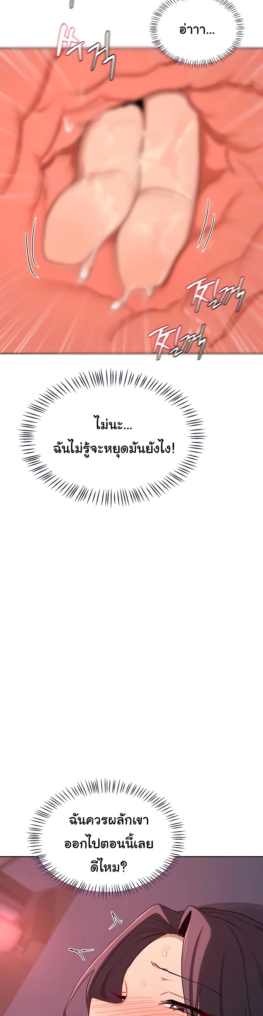 MILF Exchange Plan - หน้า 21