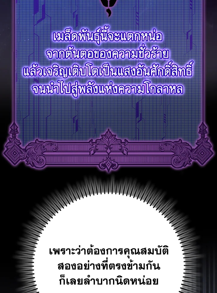 Max Level Player - หน้า 9