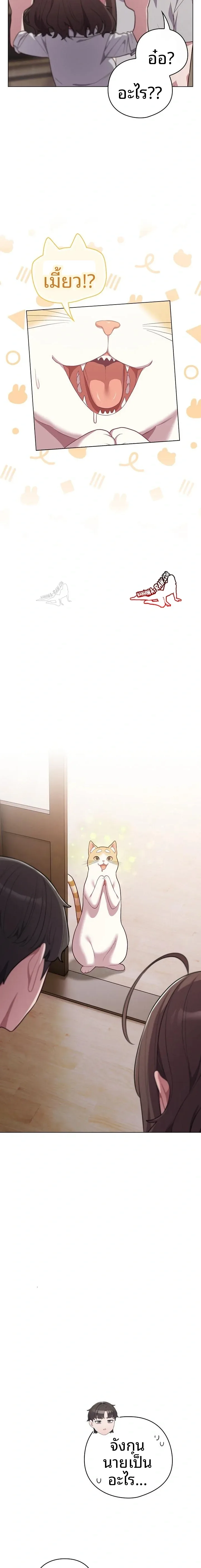 The Love Meowtchmaker - หน้า 12