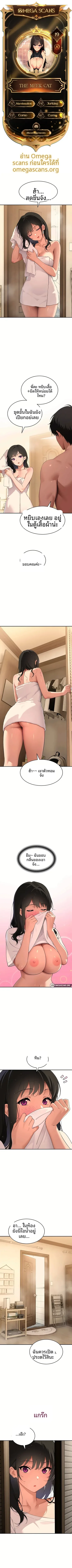 The Meek Cat - หน้า 1