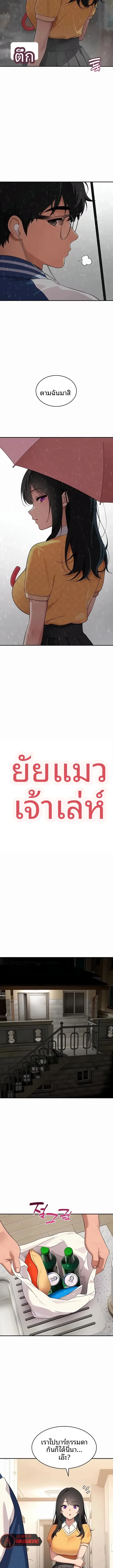 A Quiet Cat - หน้า 2