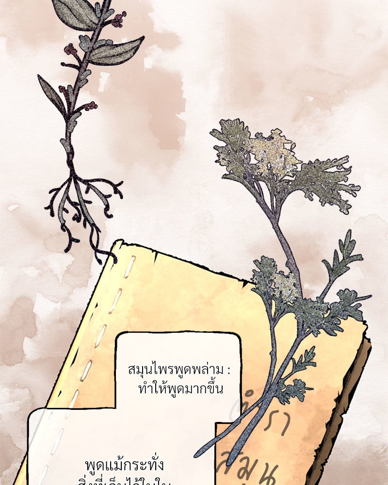 Herbal Love Story - หน้า 39