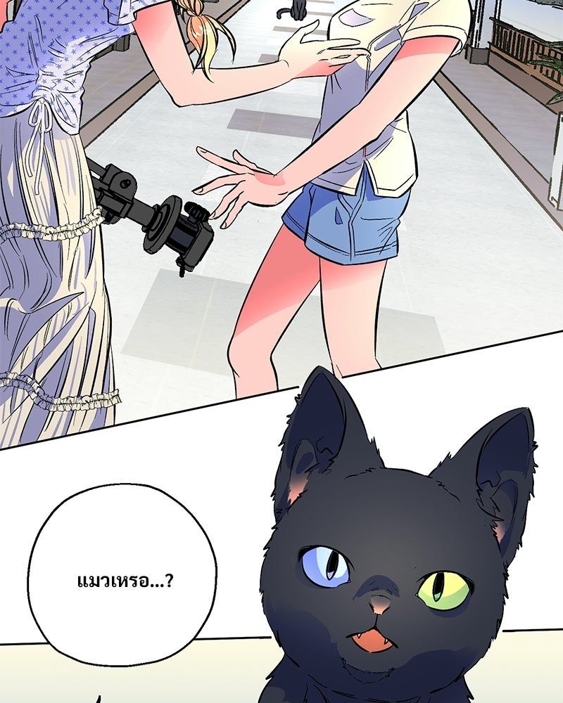 SUMMER MOON: คิวพริดส์ - หน้า 41