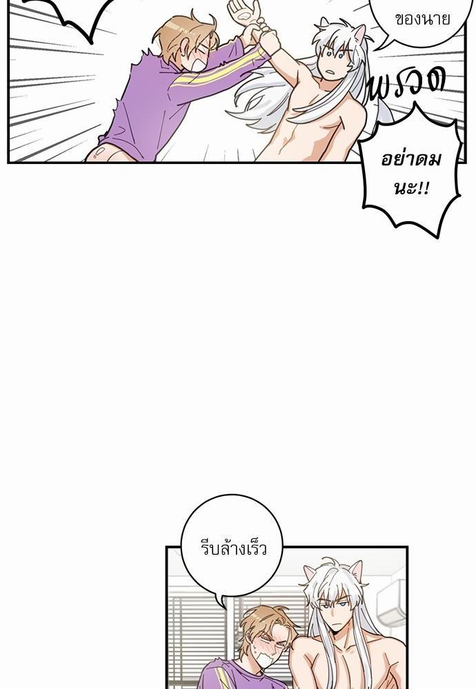 My one and only cat - หน้า 62