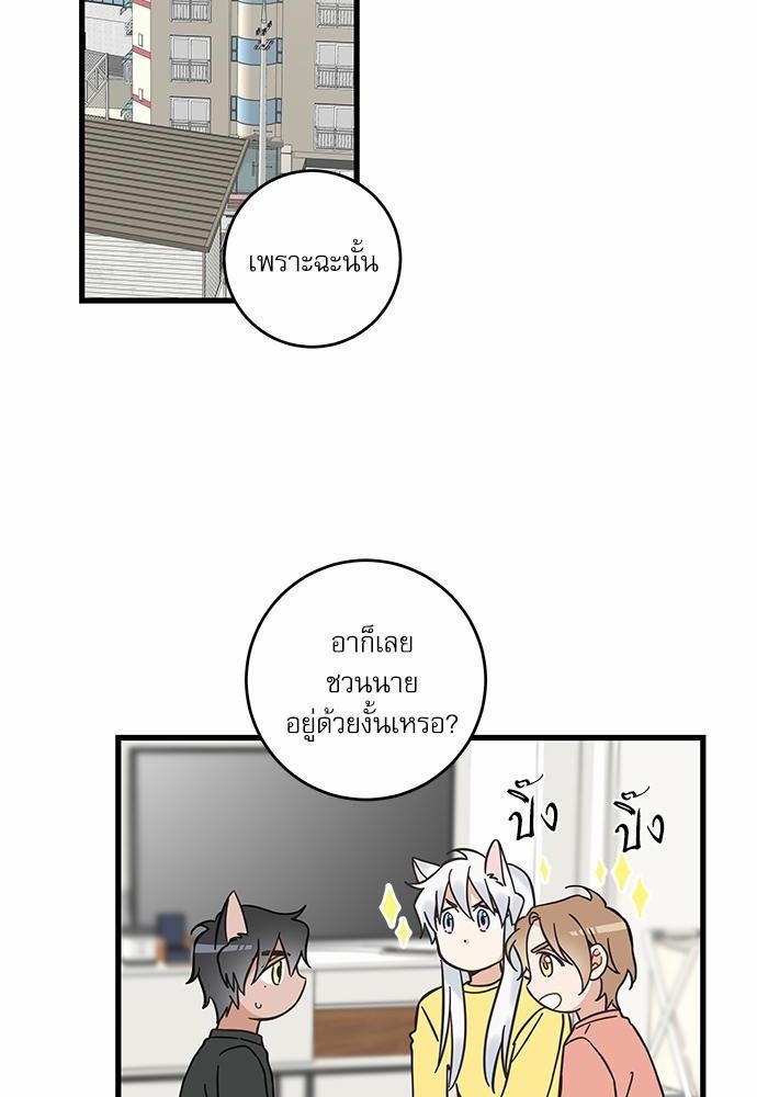 My one and only cat - หน้า 8