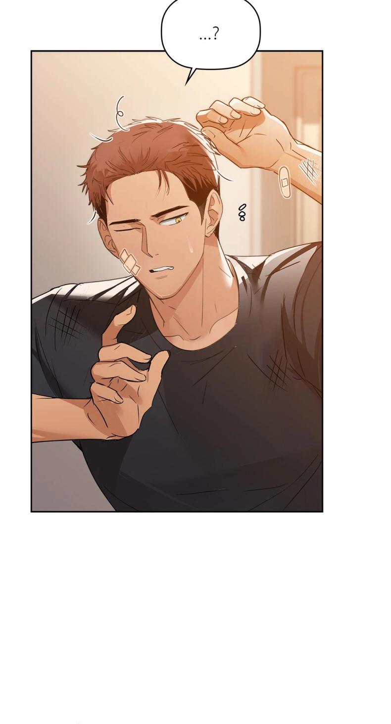 Caffeine - หน้า 13