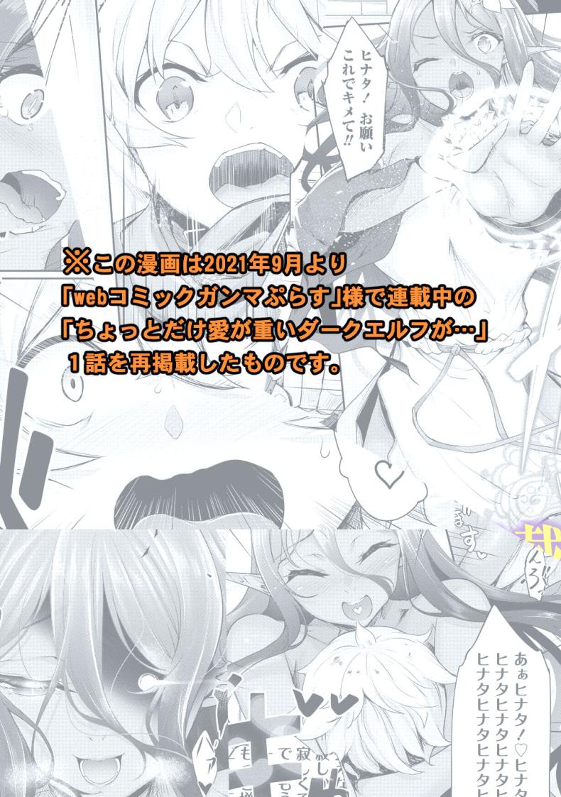 ตามเธอมาจากต่างโลก [In The Sky (Nakano Sora)] Chotto dake Ai ga Omoi Dark Elf ga Isekai kara Oikakete Kita - หน้า 30