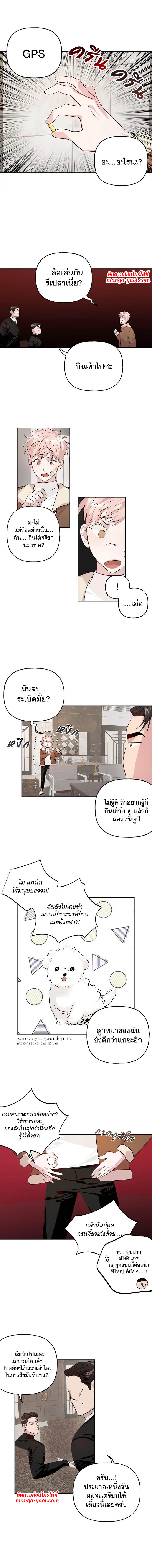 Assorted Wildness - หน้า 4