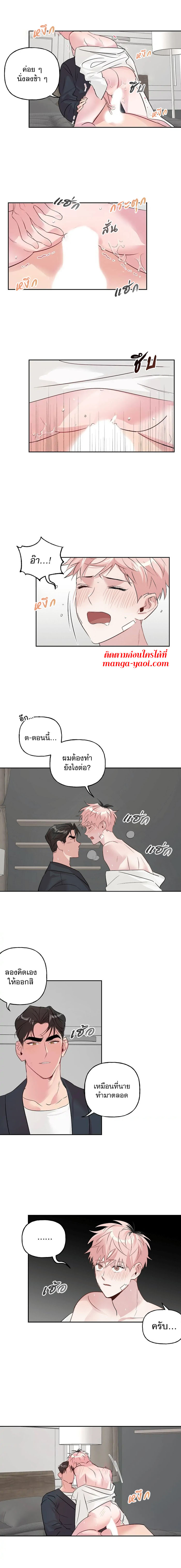 Assorted Wildness - หน้า 6