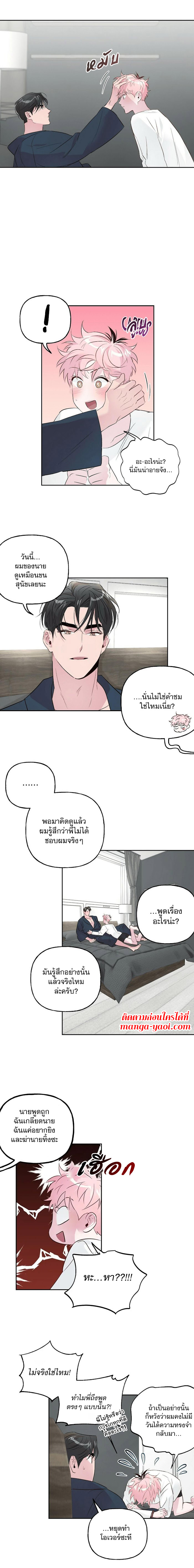 Assorted Wildness - หน้า 3