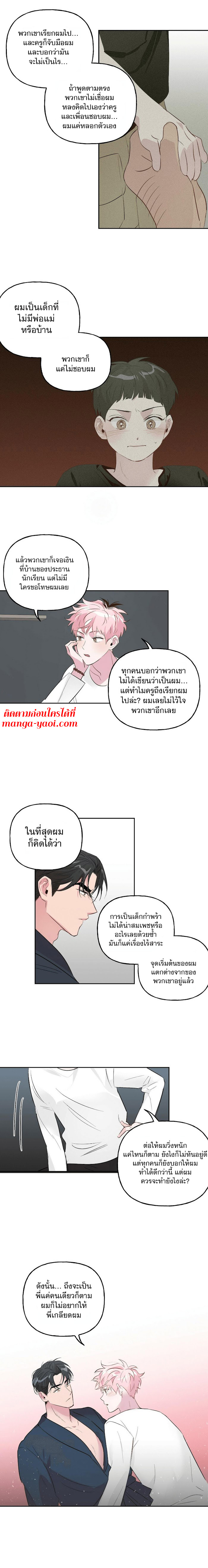 Assorted Wildness - หน้า 5