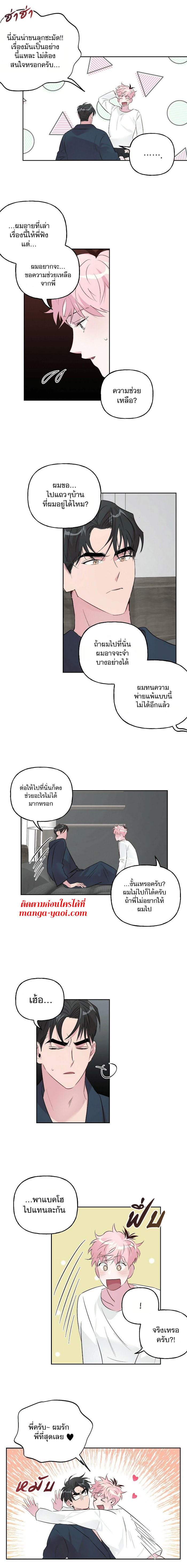 Assorted Wildness - หน้า 6