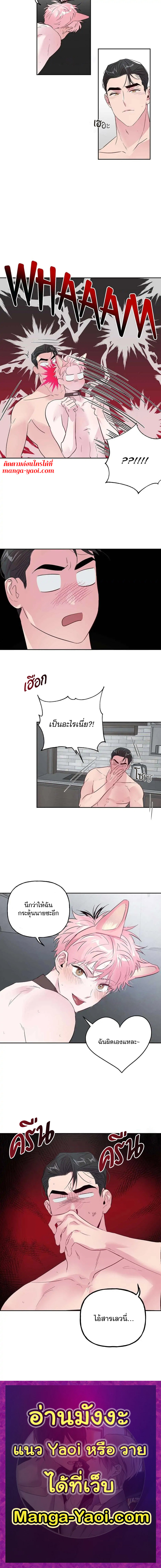 Assorted Wildness - หน้า 8