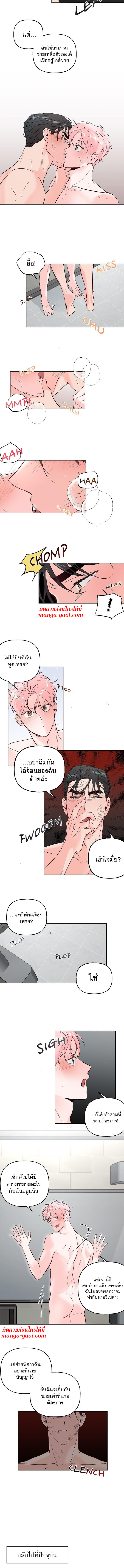 Assorted Wildness - หน้า 4