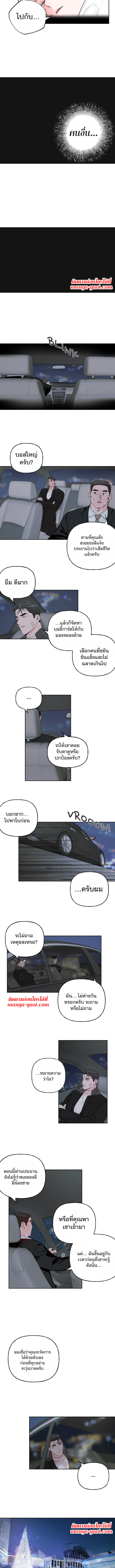 Assorted Wildness - หน้า 4