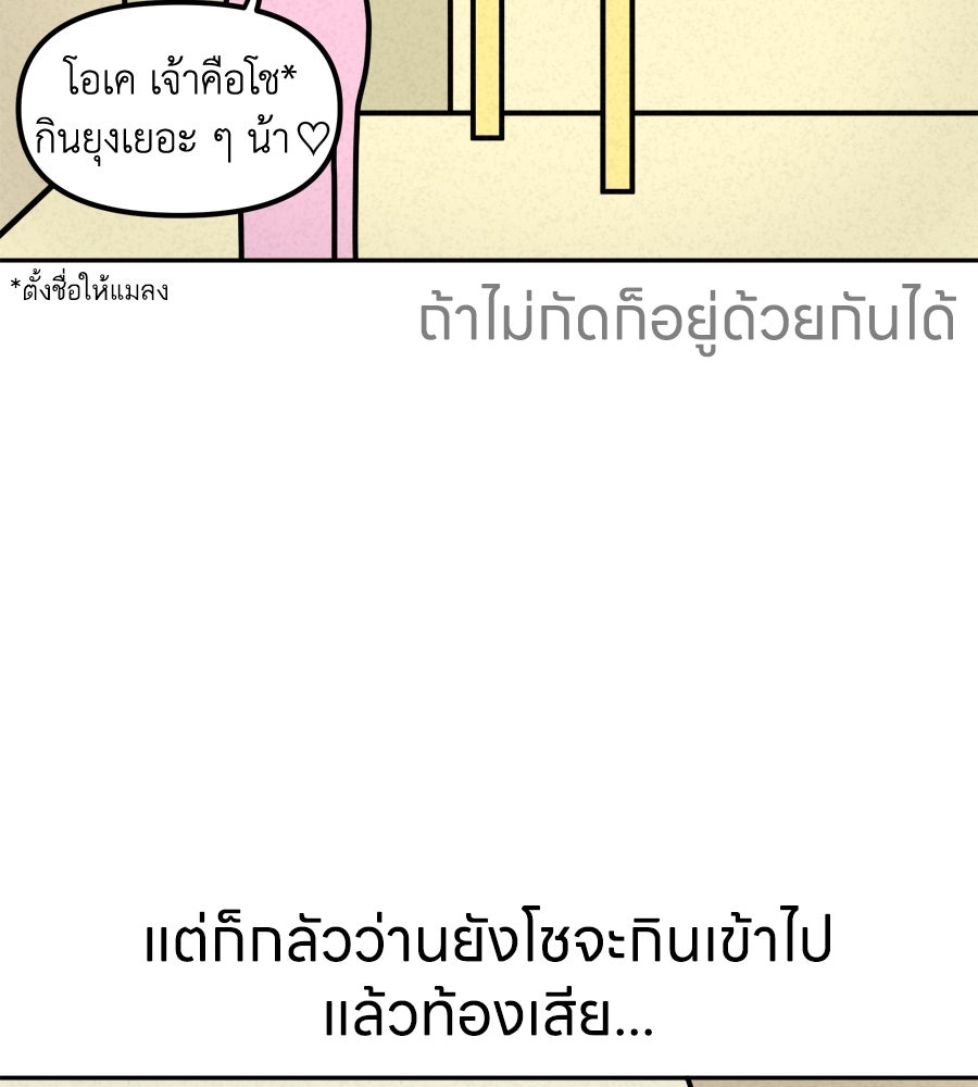 ซับโชสู้โว้ย! - หน้า 5
