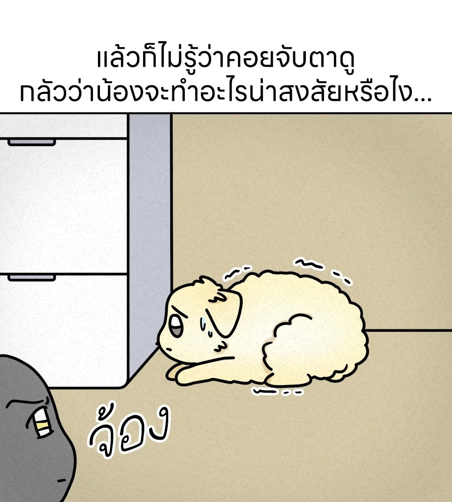 ซับโชสู้โว้ย! - หน้า 15