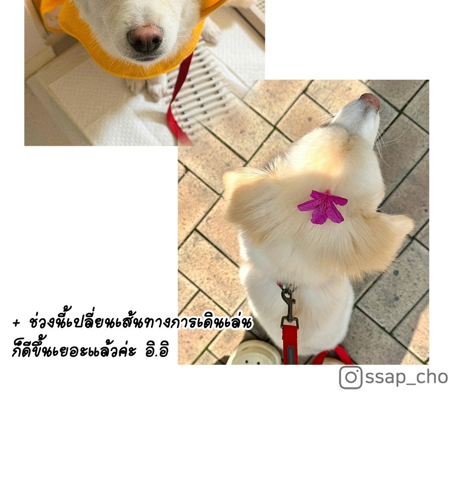 ซับโชสู้โว้ย! - หน้า 40