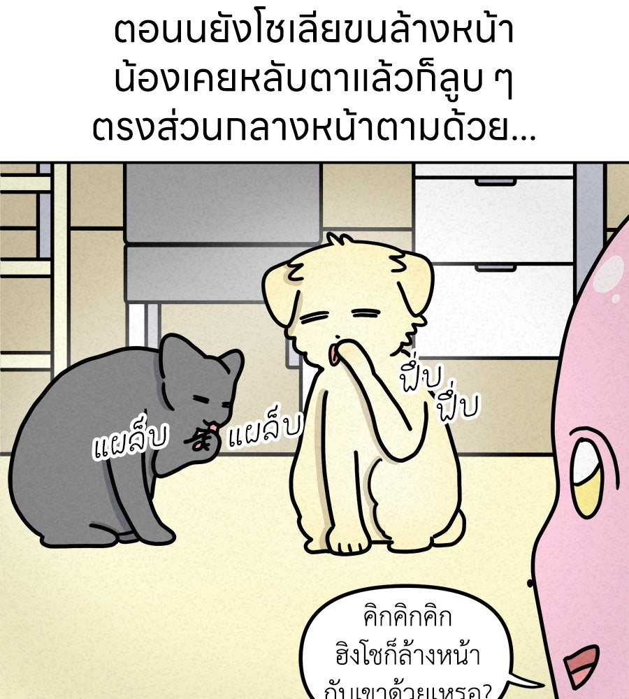 ซับโชสู้โว้ย! - หน้า 35