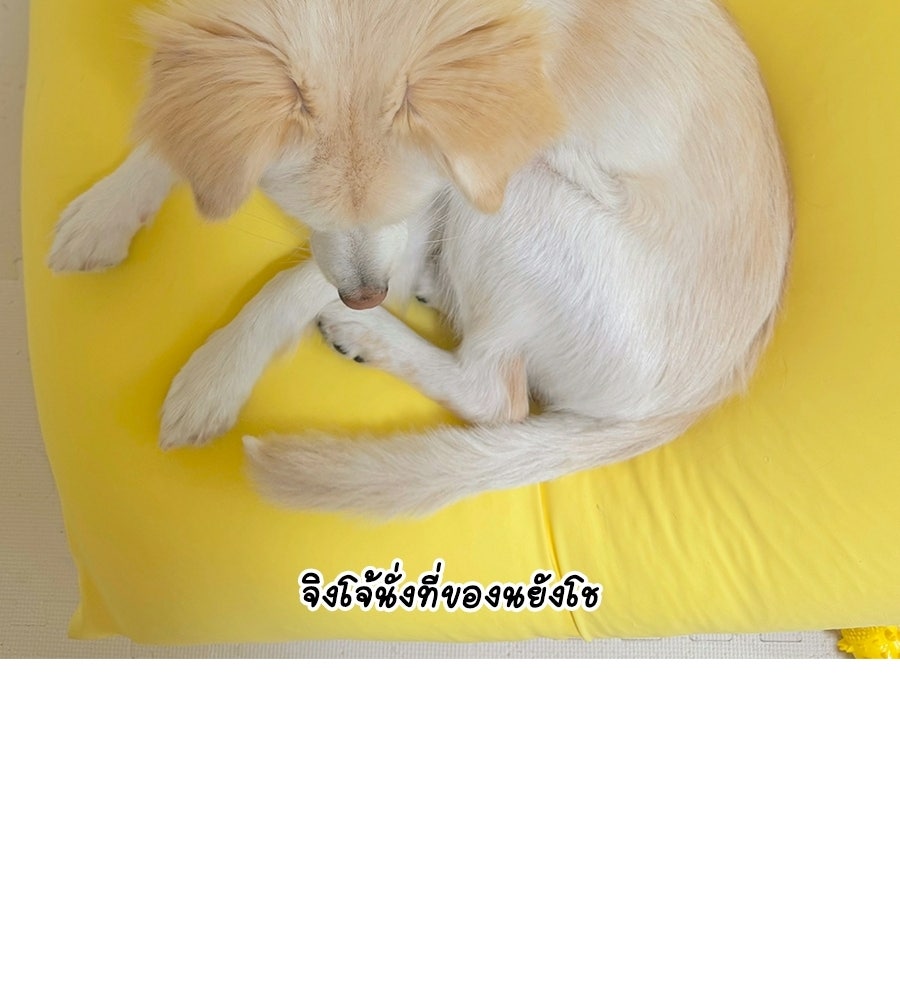 ซับโชสู้โว้ย! - หน้า 40