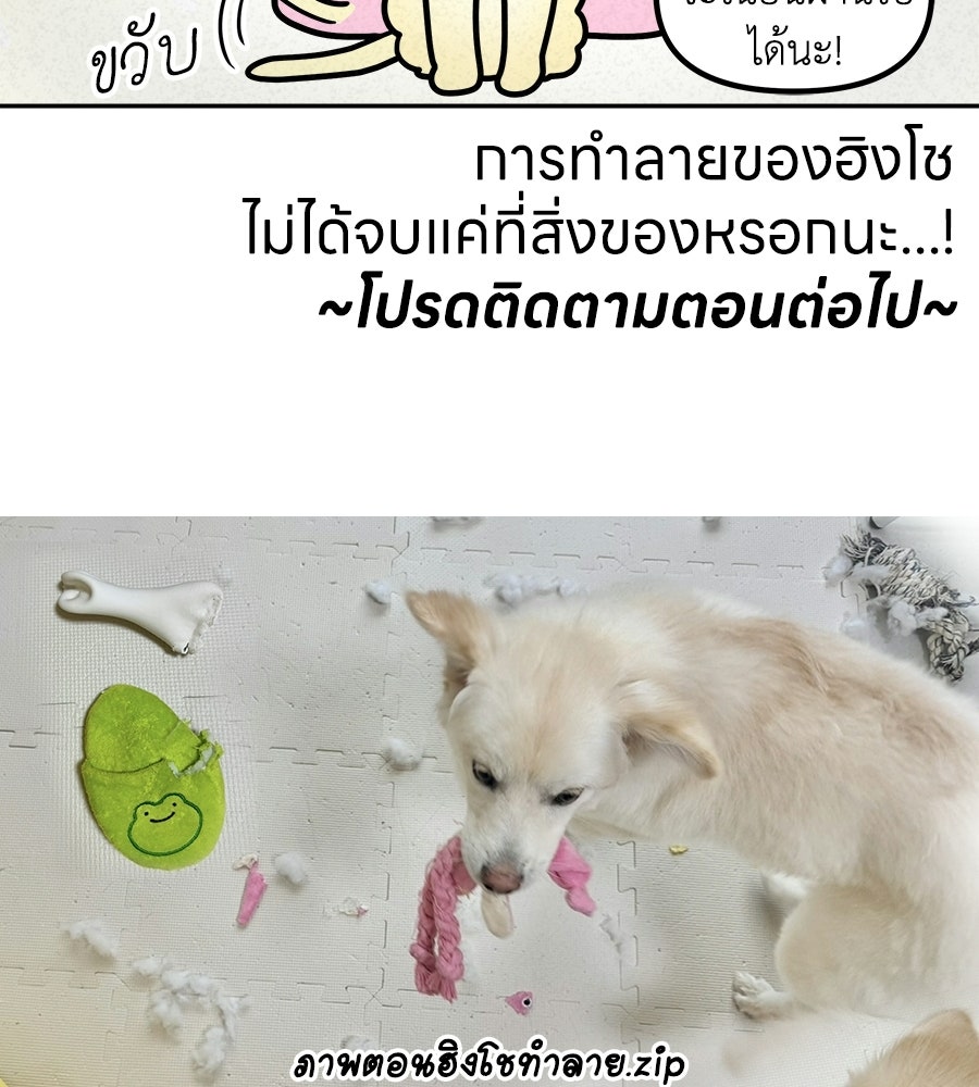 ซับโชสู้โว้ย! - หน้า 39