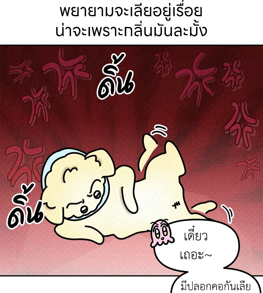 ซับโชสู้โว้ย! - หน้า 32