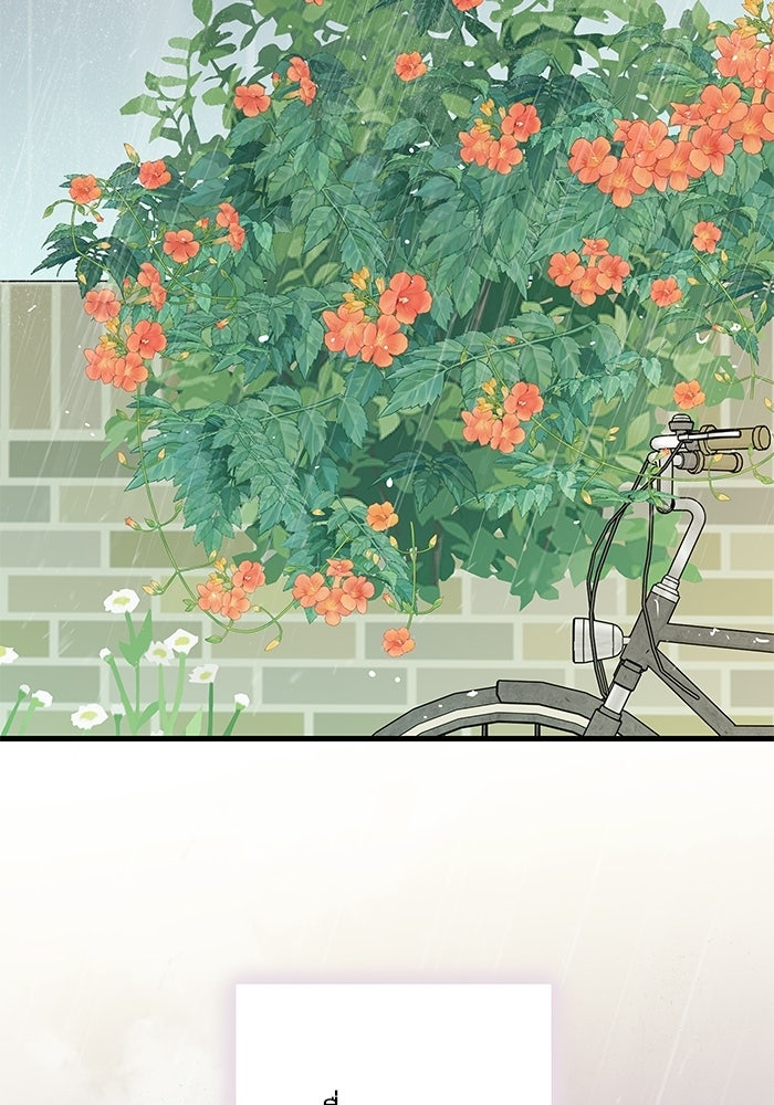 แว่วเสียงรักในฤดูร้อน (ฉบับสมบูรณ์) - หน้า 25