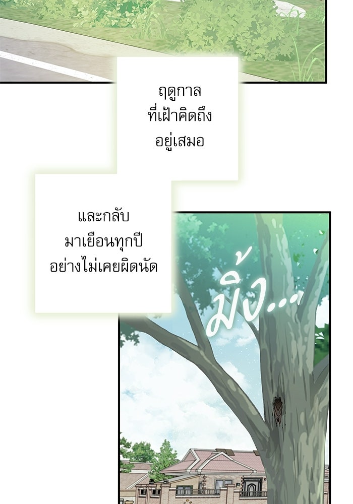 แว่วเสียงรักในฤดูร้อน (ฉบับสมบูรณ์) - หน้า 4