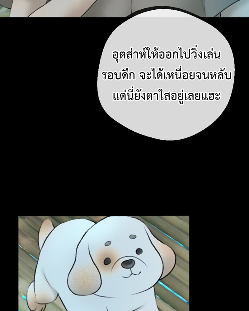 คุณผีได้โปรดไปที่ชอบที่ชอบ - หน้า 41