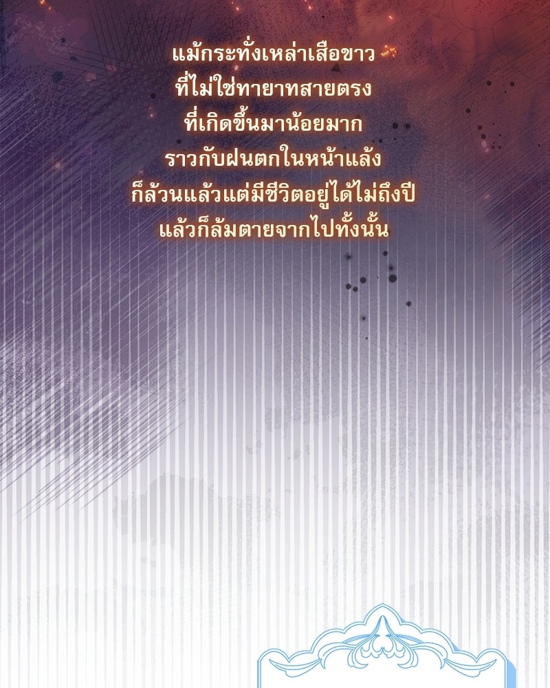 องค์หญิงเสือขาวน่ารักเกินไปแล้ว - หน้า 74