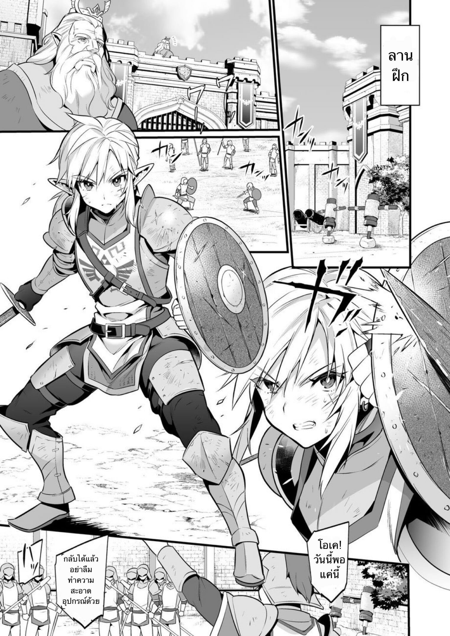 กะหรี่ในกองทัพ [Morittokoke (Morikoke)] Kunrenhei no Junan The Suffering of a Trainee (The Legend of Zelda) - หน้า 4