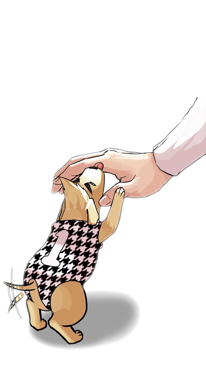 LOOKISM - หน้า 47