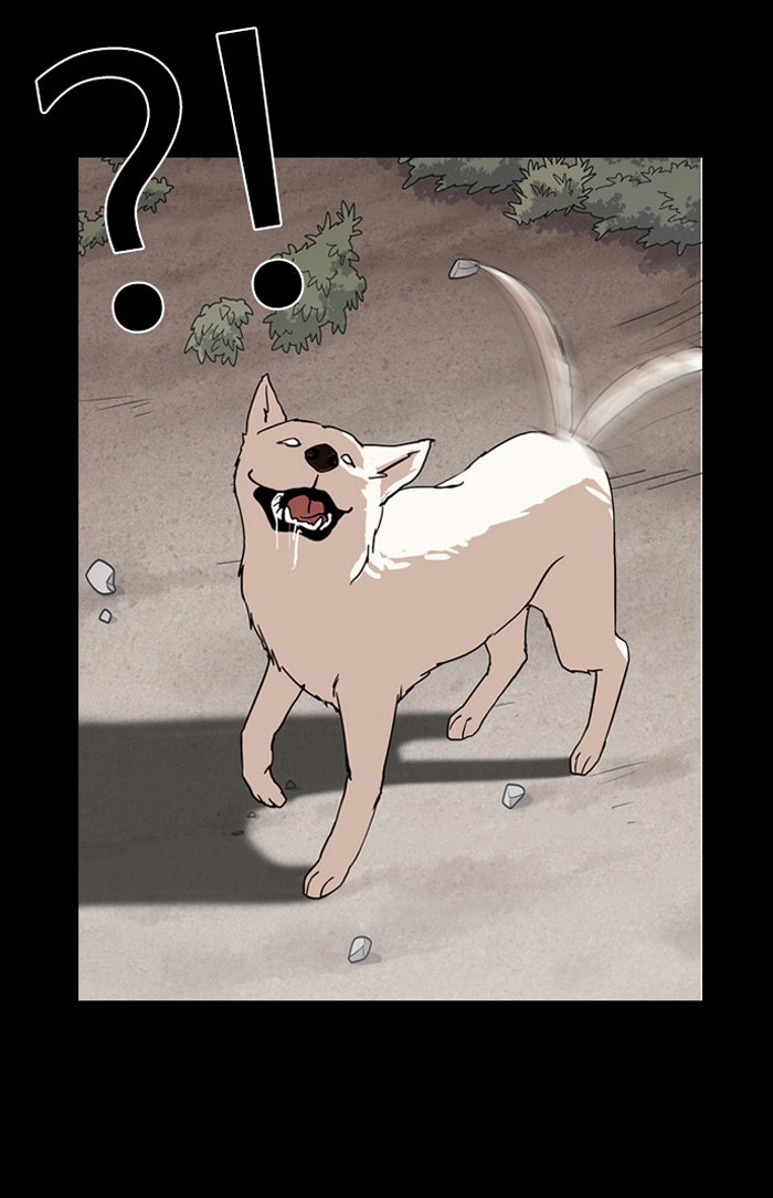 LOOKISM - หน้า 62