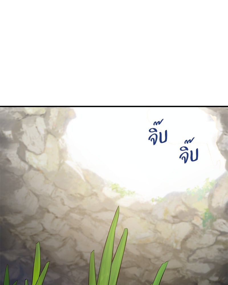 ปลูกผักพิชิตหอคอย - หน้า 28