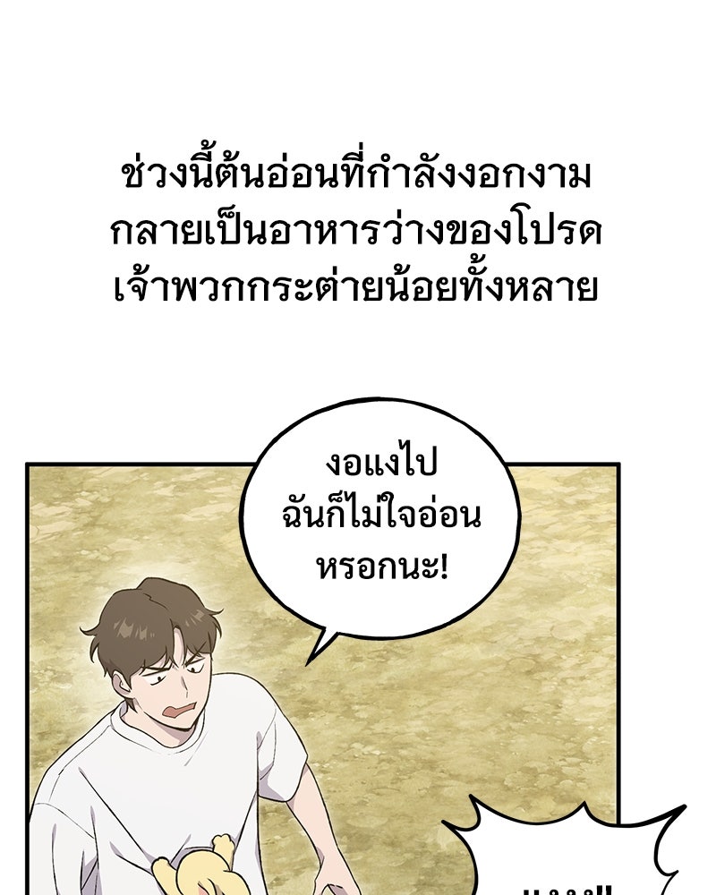ปลูกผักพิชิตหอคอย - หน้า 12