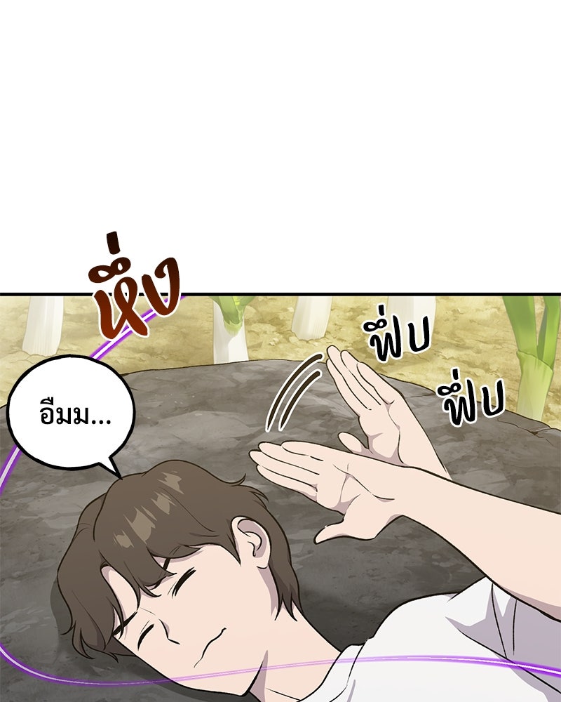 ปลูกผักพิชิตหอคอย - หน้า 13