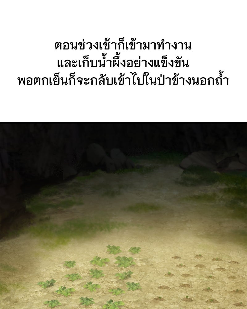 ปลูกผักพิชิตหอคอย - หน้า 97