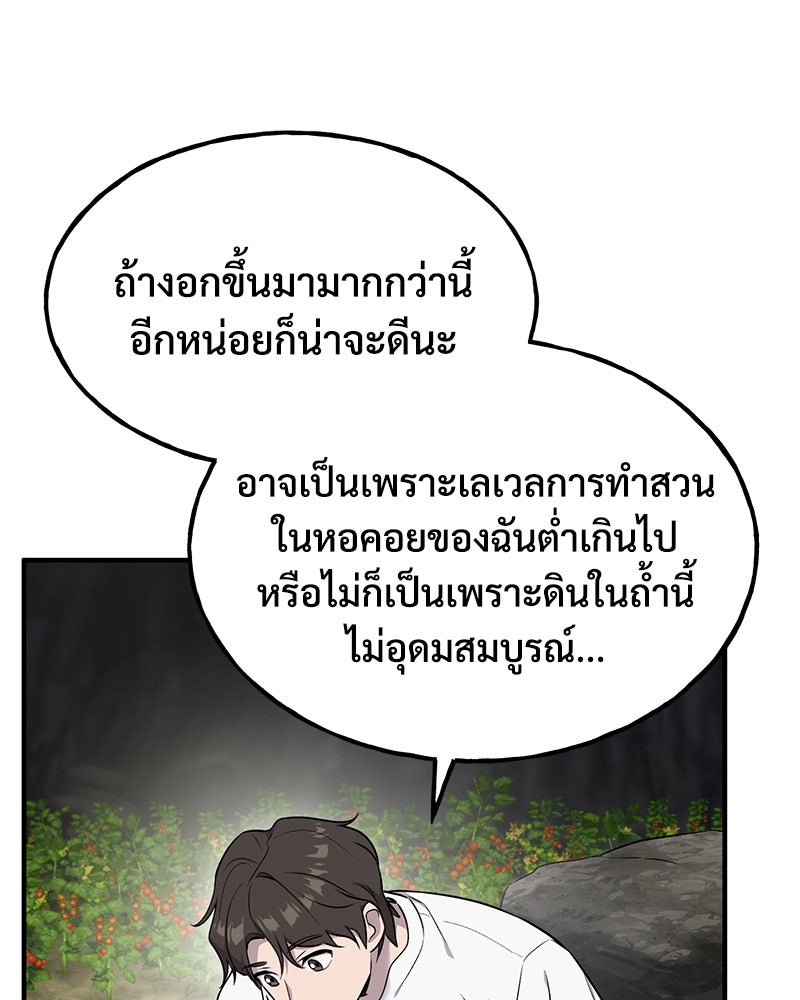 ปลูกผักพิชิตหอคอย - หน้า 13