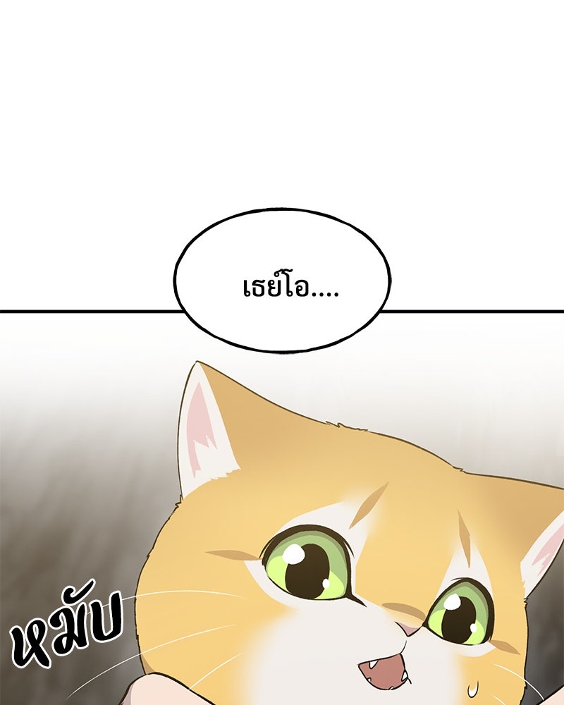 ปลูกผักพิชิตหอคอย - หน้า 141