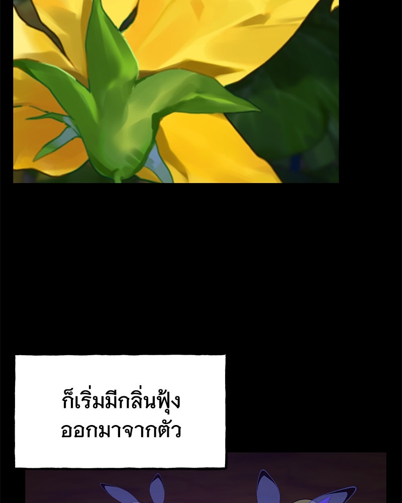 ปลูกผักพิชิตหอคอย - หน้า 27
