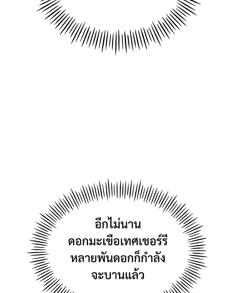 ปลูกผักพิชิตหอคอย - หน้า 16