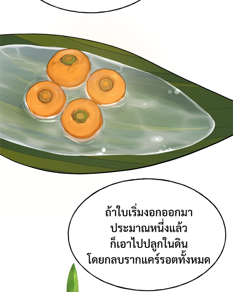 ปลูกผักพิชิตหอคอย - หน้า 9