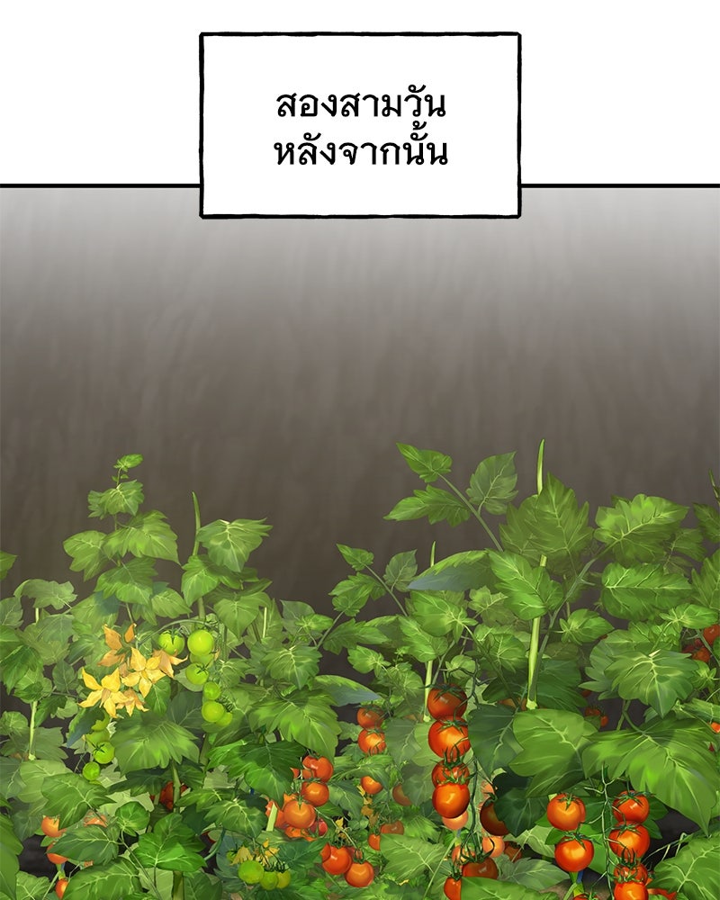 ปลูกผักพิชิตหอคอย - หน้า 184