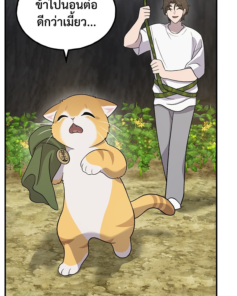 ปลูกผักพิชิตหอคอย - หน้า 142